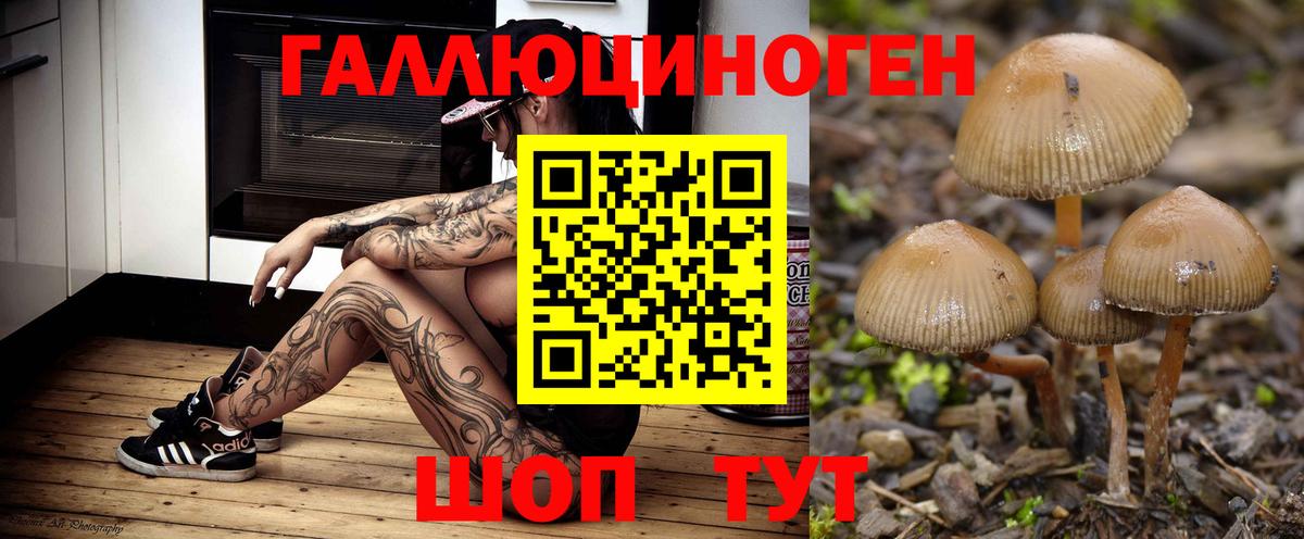 Галлюциногенные грибы мухоморы Фролово